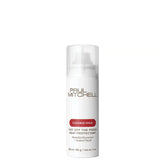 Hot Off The Press Heat Protectant